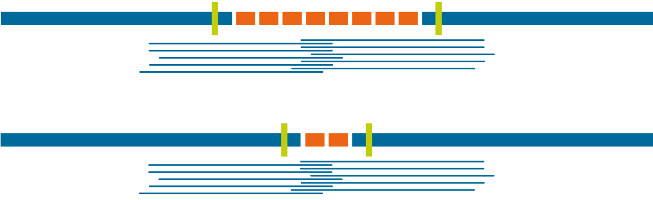 slides for tech page target tandem repeat